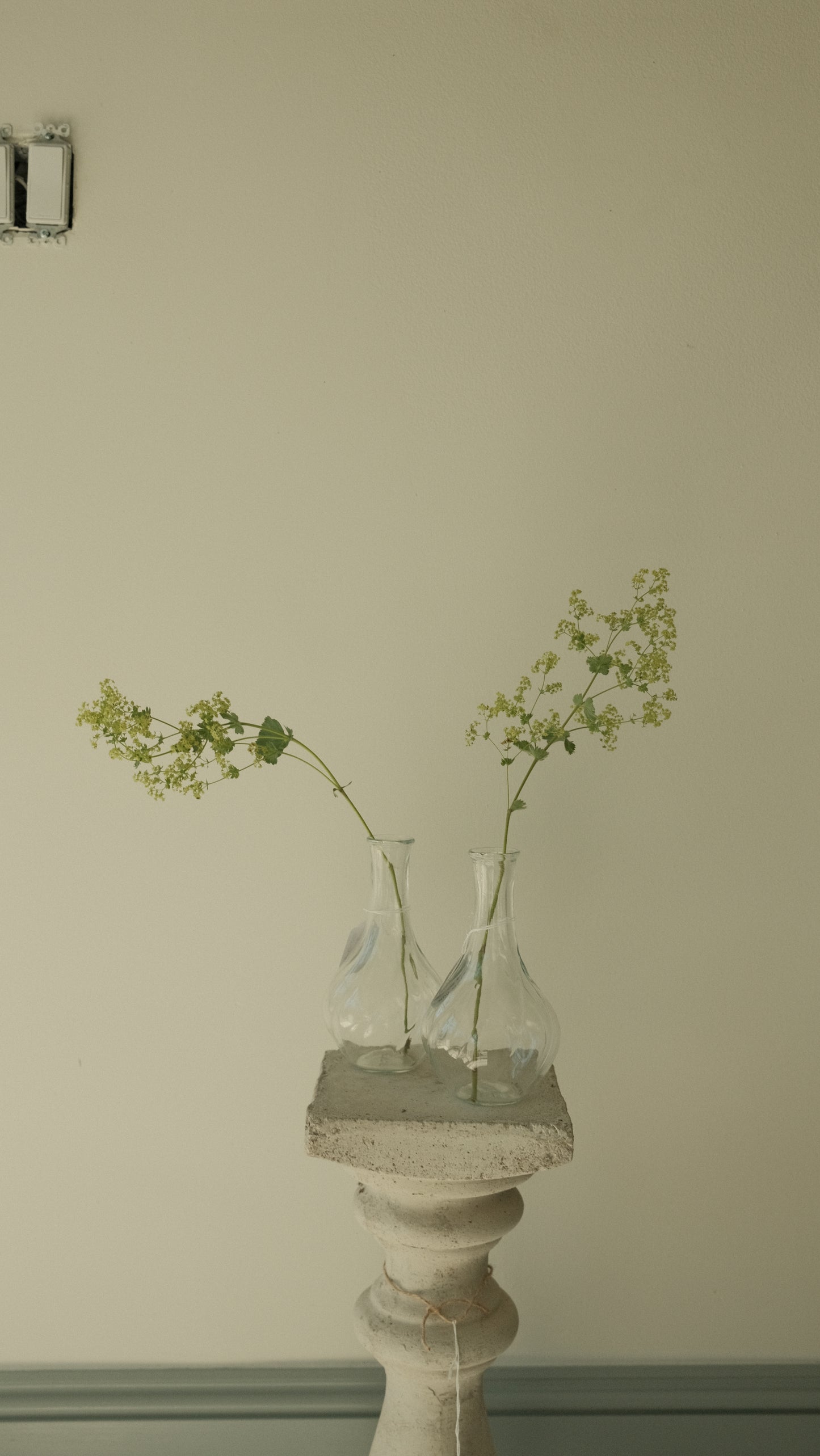 Glass Vase (Set of 2)