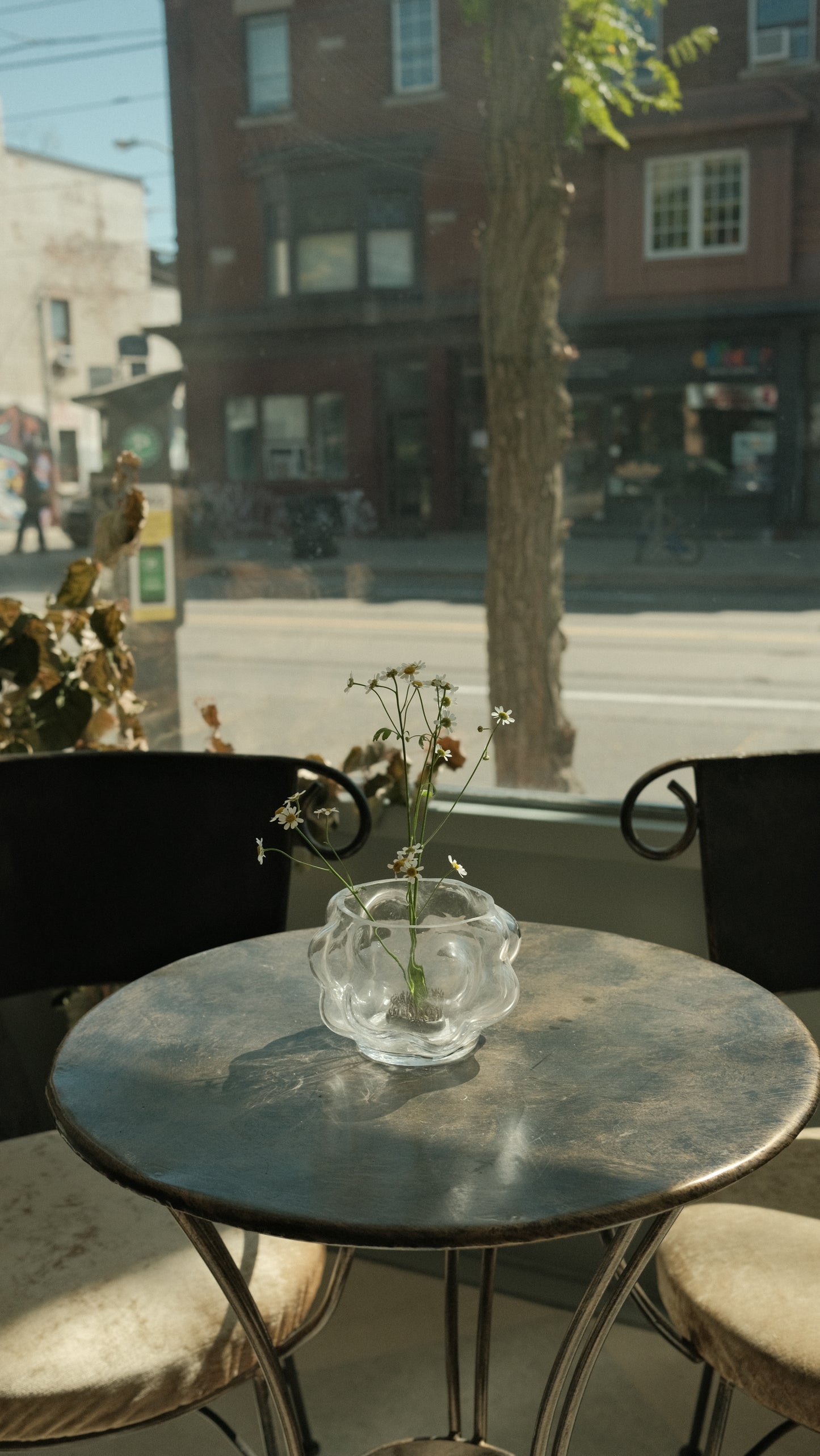 Bubble Glass Vase