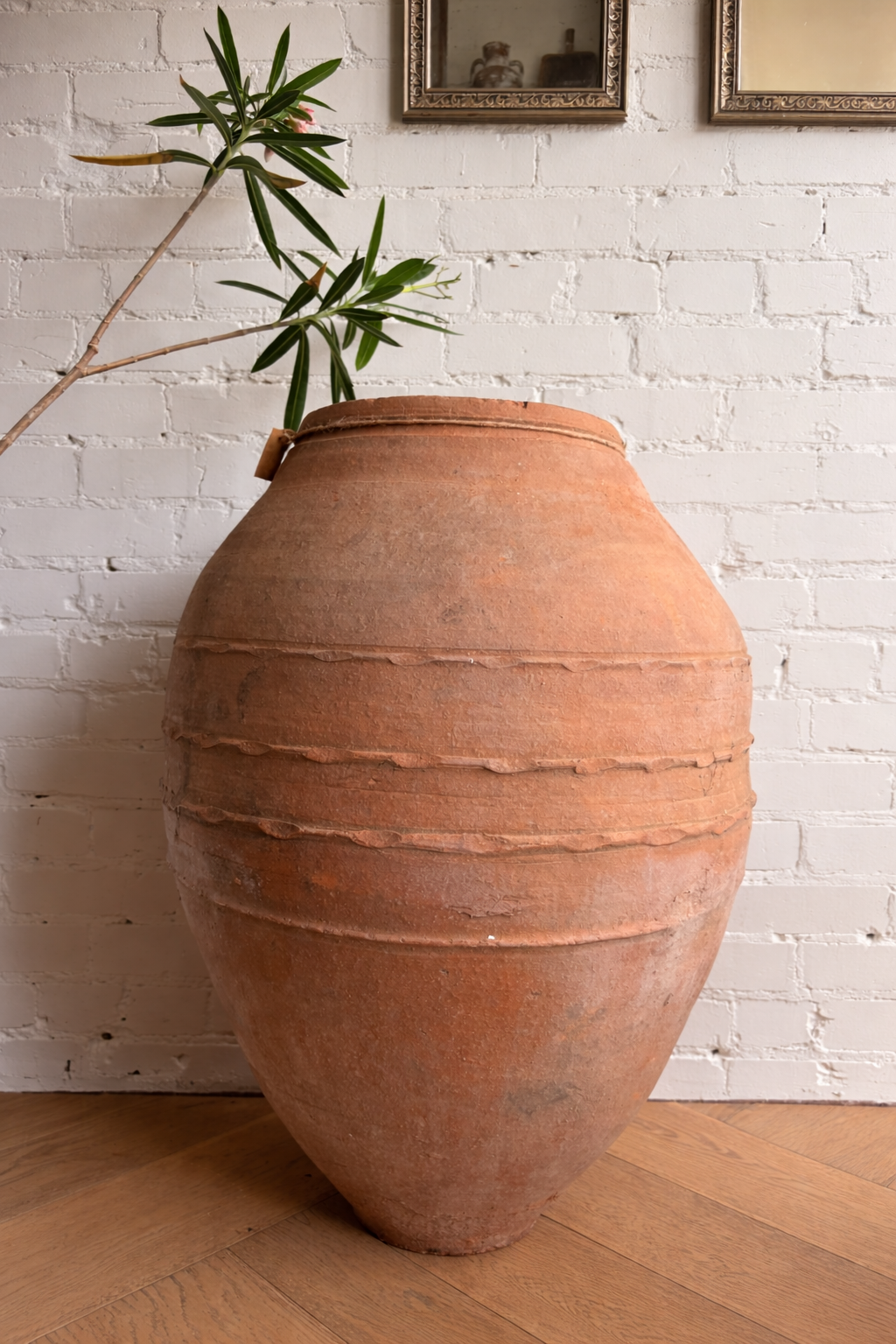 Terracotta Pot