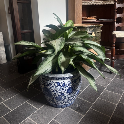 Blue and White Pot