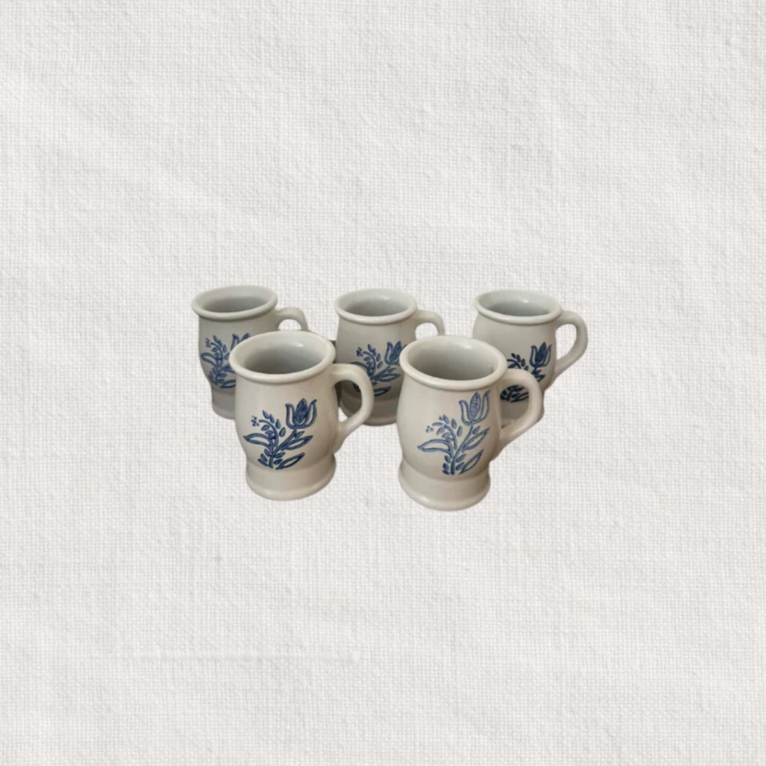 Pfaltzgraff Mugs (Set of 5)