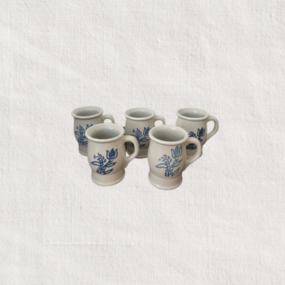 Pfaltzgraff Mugs (Set of 5)