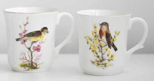 Vintage Duchess Bone China Bird Mugs (Set of 2)