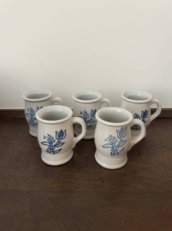 Pfaltzgraff Mugs (Set of 5)