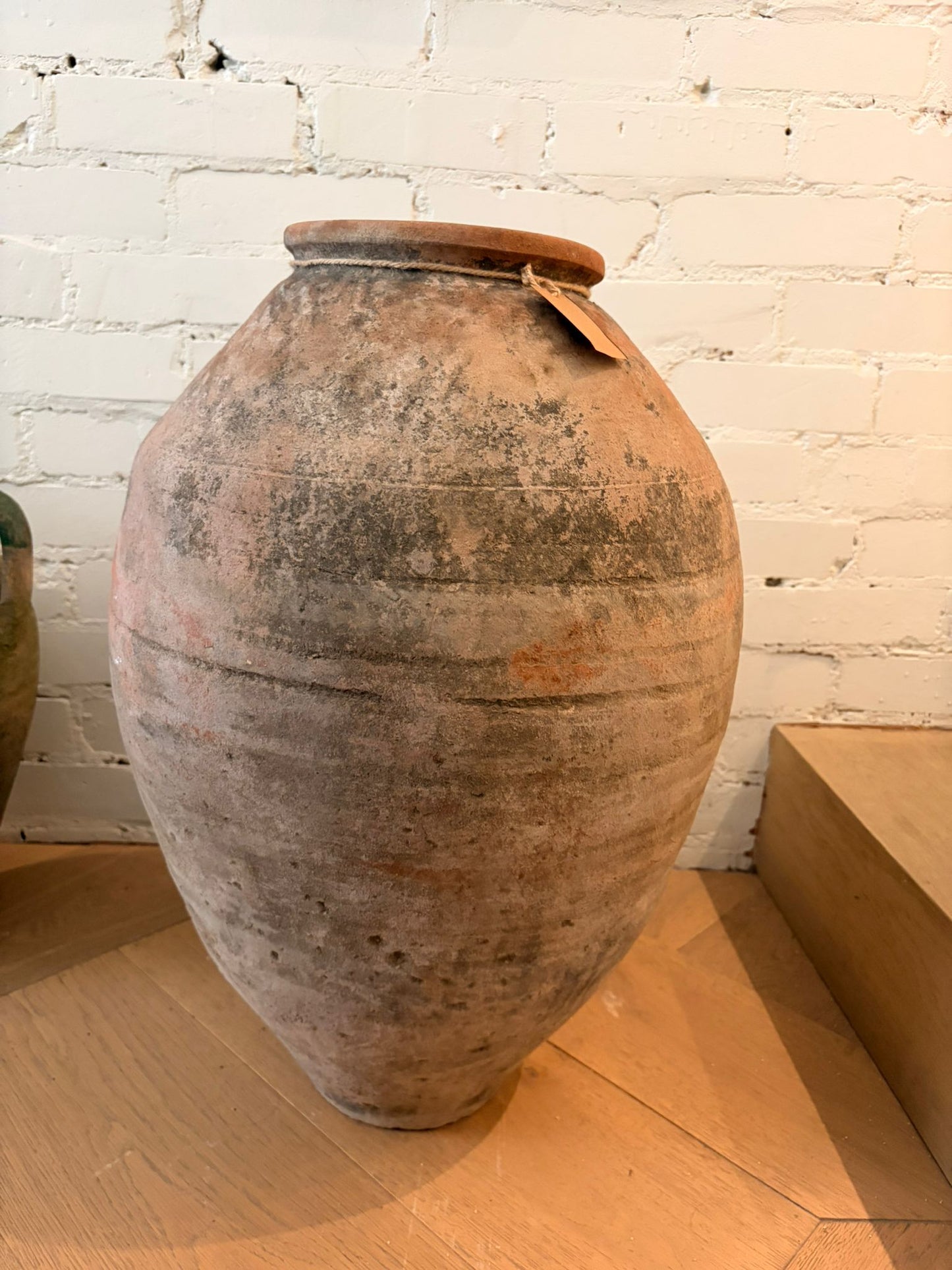 Terracotta Pot